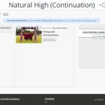 Natural High (Continuation)